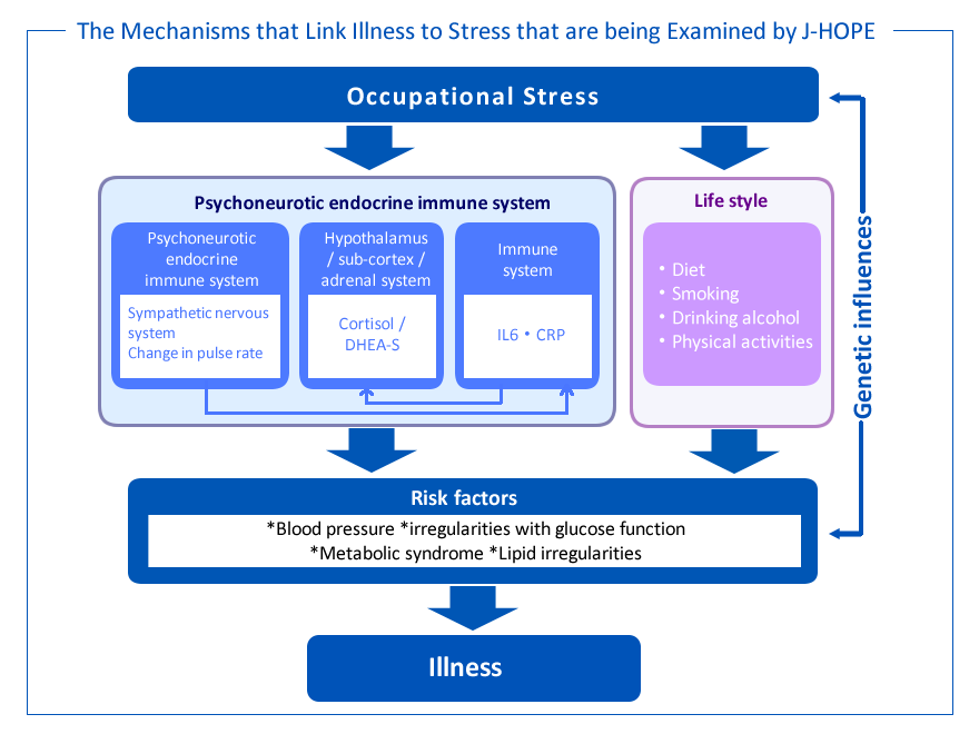 ストレスと疾患を結ぶメカニズム