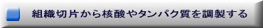 組織切片から核酸やタンパク質を調整する