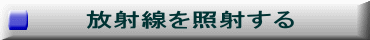  放射線を照射する 