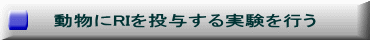 動物にRIを投与する実験を行う 