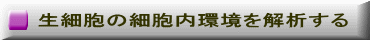 生細胞の細胞内環境を解析する 