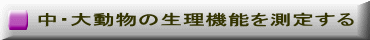 中・大動物の生理機能を測定する 