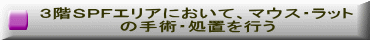 ３階ＳＰＦエリアにおいて、マウス・ラット の手術・処置を行う 