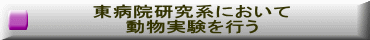 東病院研究系において 動物実験を行う 