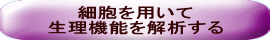 細胞を用いて生理機能を解析