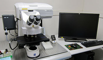 正立型共焦点レーザー顕微鏡