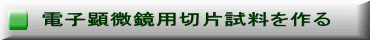 電子顕微鏡用切片試料を作る 