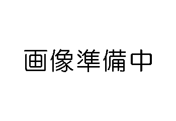 画像なし